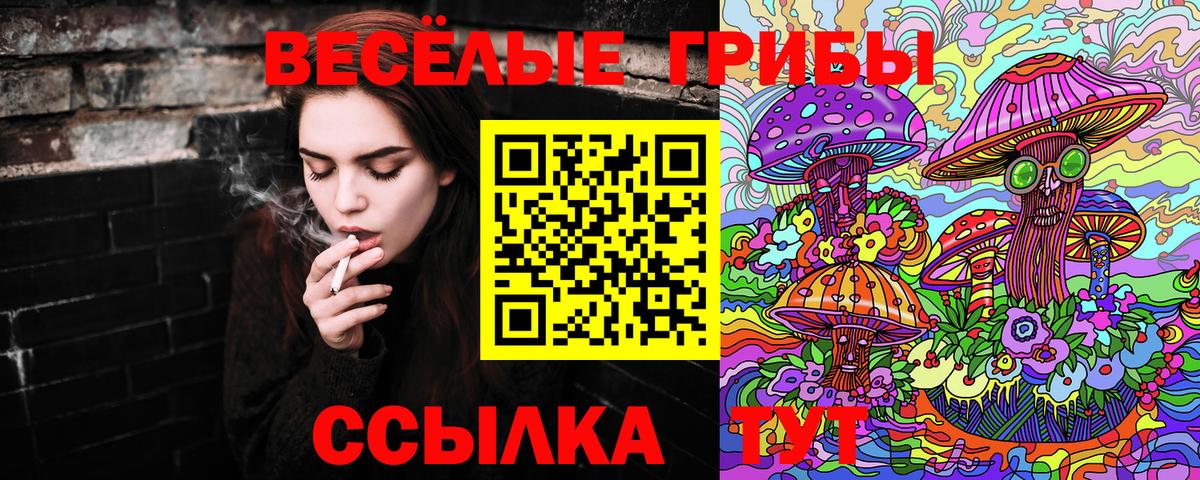 Псилоцибиновые грибы мицелий  Вход с VPN  Псилоцибиновые грибы прущие грибы  Кемерово 